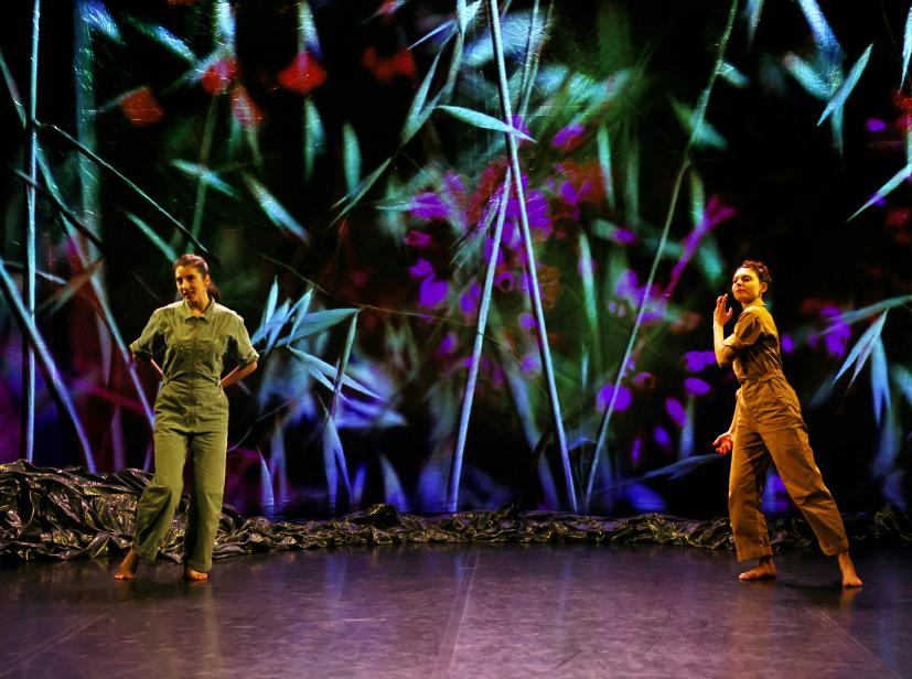 Le Chemin du wombat au nez poilu de Joanne Leighton